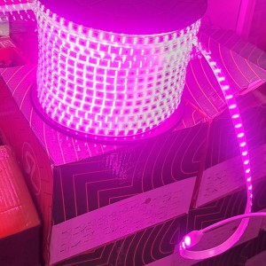 ریسه شلنگی بنفش شارو لایت مدل دولاین 2835 تراکم 120 LED در هر متر (برش هر 1 متر) پهنا 13 میل