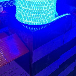 ریسه شلنگی آبی شارو لایت مدل دولاین 2835 تراکم 180 LED در هر متر (برش هر 1 متر) پهنا 13 میل