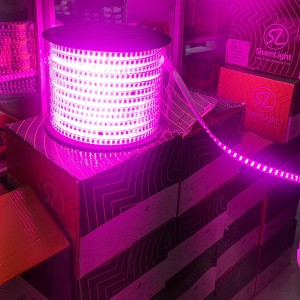 ریسه شلنگی بنفش شارو لایت مدل دولاین 2835 تراکم 180 LED در هر متر (برش هر 1 متر) پهنا 13 میل