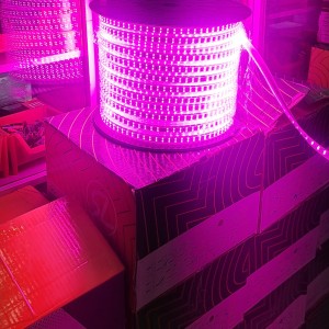ریسه شلنگی بنفش شارو لایت مدل دولاین 2835 تراکم 180 LED در هر متر (برش هر 1 متر) پهنا 13 میل