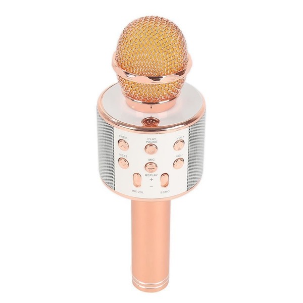 اسپیکر، میکروفن، بلوتوث، رکورد دار WSIER WS-858