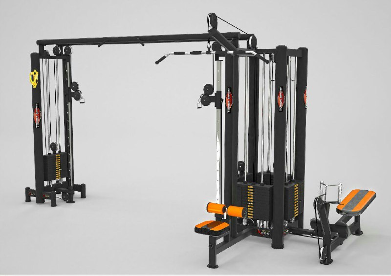 مولتی جانگل