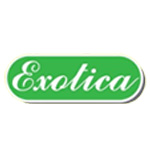 اگزوتیکا