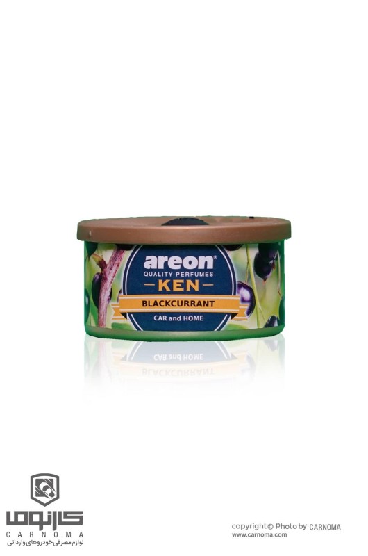 خوشبو کننده کنسروی آرئون حجم 35 گرم (توت سیاه)