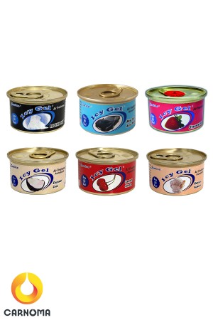 خوشبو کننده کنسروی Icy Gel اگزوتیکا 42 گرم (در 9 رایحه)