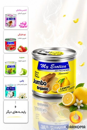 خوشبو کننده کنسروی اگزوتیکا 80 گرم (در 10 رایحه)