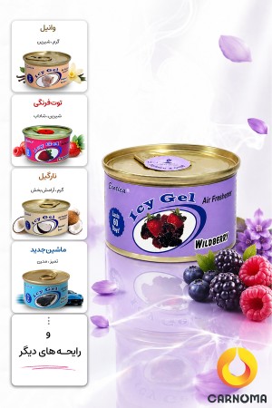 خوشبو کننده کنسروی Icy Gel اگزوتیکا 42 گرم (در 9 رایحه)