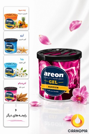 خوشبو کننده کنسروی ژل آرئون حجم 80 گرم (11 رایحه)
