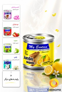 خوشبو کننده کنسروی اگزوتیکا 80 گرم (در 10 رایحه)