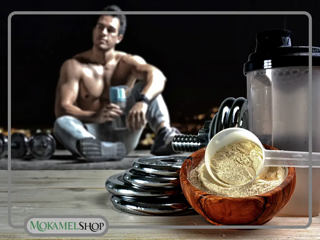 نقش مکمل آمینو اسید در چربی‌سوزی و افزایش استقامت بدنی