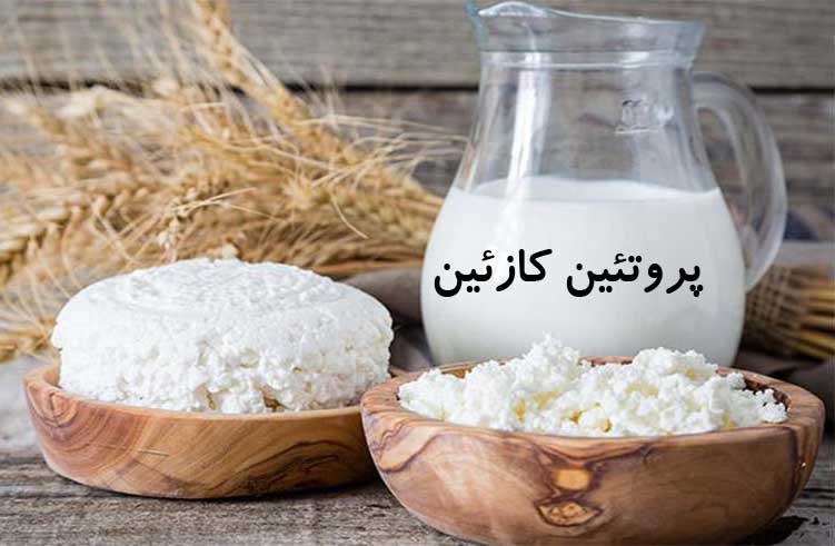 پروتئین کازئین چیست؟ روش و مقدار مصرف، مزایا و معایب