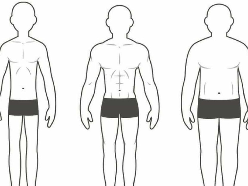 آشنایی با انواع تیپ بدنی در بدنسازی