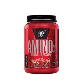 آمینو ایکس بی اس ان | BSN Amino X