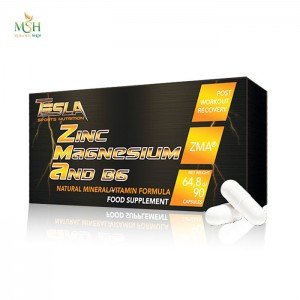 زد ام ای تسلا | Tesla ZMA