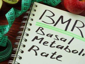 متابولیسم پایه یا BMR چیست؟
