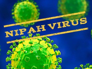 ویروس نیپا چیست؟