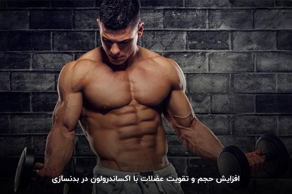 افزایش حجم عضلات؛ یکی از فواید اکساندرولون برای بدنسازی