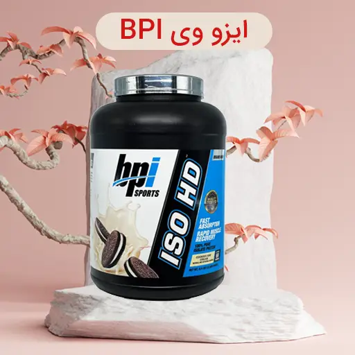 ایزو وی بی پی آی