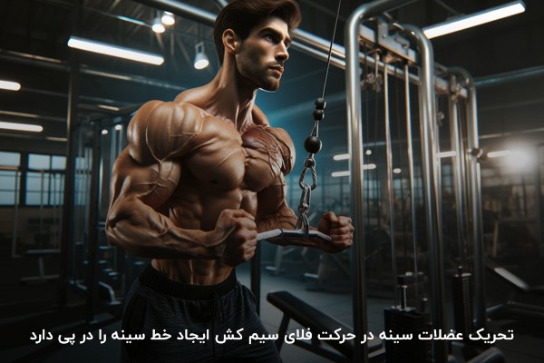 ایجاد خط سینه با تحریک مناسب عضلات در فلای سیم کش