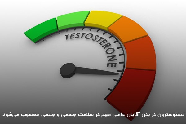 تستوسترون از هورمون‌های مهم مردانه است.