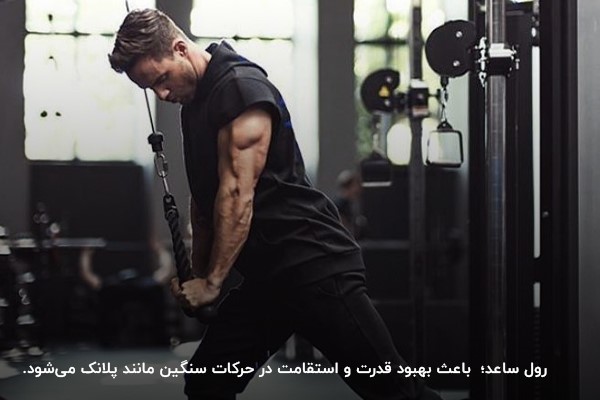 رول ساعد با چوب و وزنه (Wrist Roller)