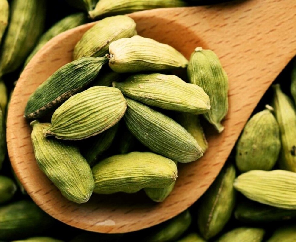 هل سبز درجه یک