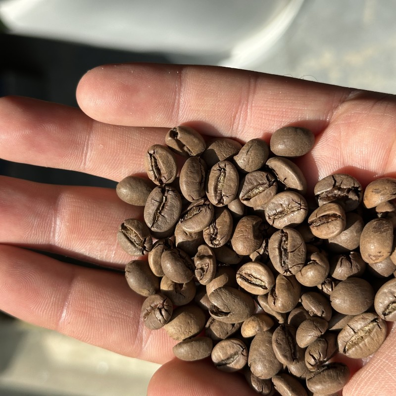 میکس ترکیبی  اندونزی wib 70% و فاین کاپ 30 %