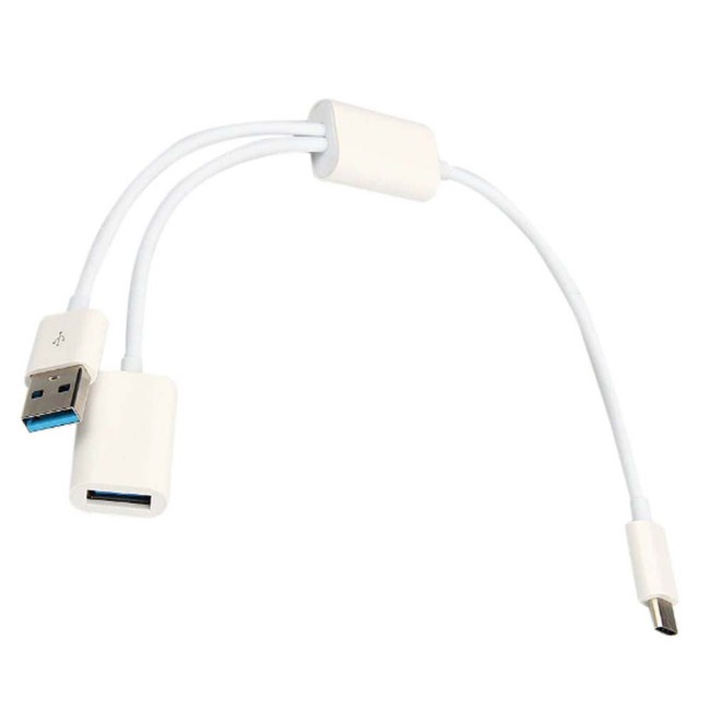 مبدل USB-C به USB و OTG مدل Dataline