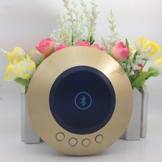 Andromedia T9 Thunder Portable Bluetooth Speaker