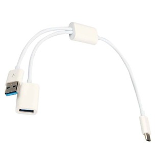 مبدل USB-C به USB و OTG مدل Dataline