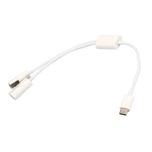 مبدل USB-C به USB و OTG مدل Dataline