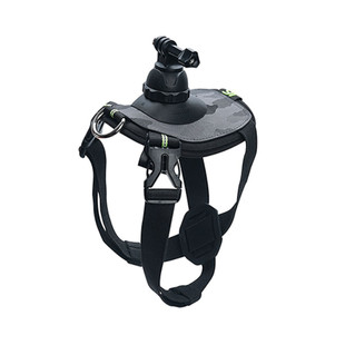 نگهدارنده دوربین ورزشی شیائومی روی حیوان خانگی