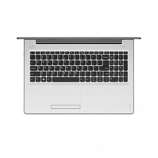 IdeaPad 310 (17)