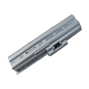 Sony BPS12 6Cell Laptop Battery