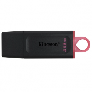 فلش مموری کینگستون 256 گیگ مدل EXODIA