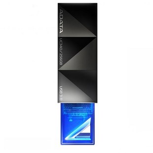 ADATA UC340 Flash Memory - 256GB