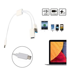 مبدل USB-C به USB و OTG مدل Dataline