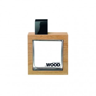 ادو تویلت مردانه دیسکوارد مدل He Wood حجم 100 میلی لیتر