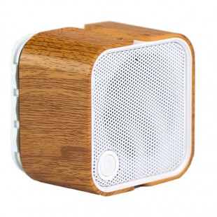 اسپیکر بلوتوثی رم و فلش خور تسکو مدل TS 2385