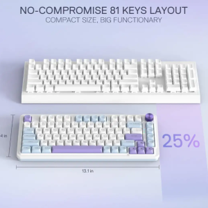 کیبورد ردراگون K673 WBP