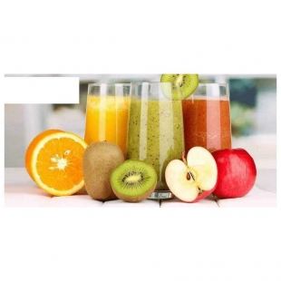 آبمیوه گیری تکنو مدل Te-312