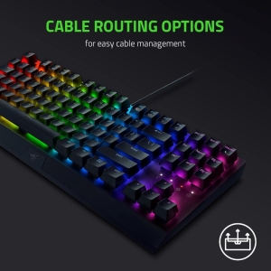 کیبورد ریزر BlackWidow V3 TKL GREEN Switch