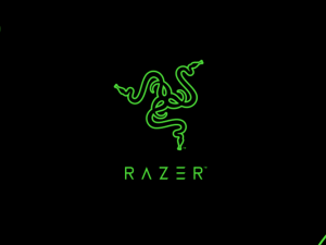 تاریخچه برند ریزر، معرفی محصولات و بررسی کیفیت تجهیزات گیمینگ RAZER
