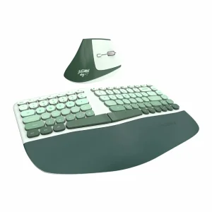 BOMI - Green Gradient