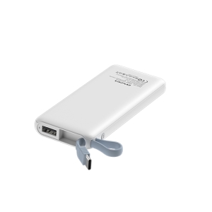 AWEI Power Bank.jpg