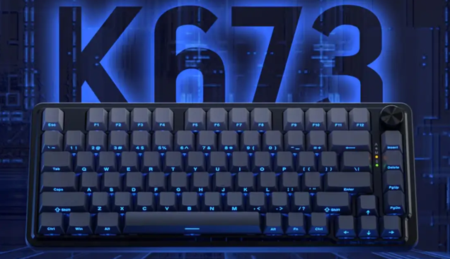 کیبورد K673 PRO