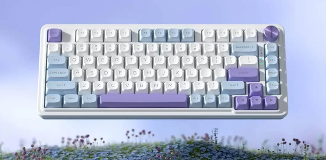 کیبورد K673 WBP ردراگون