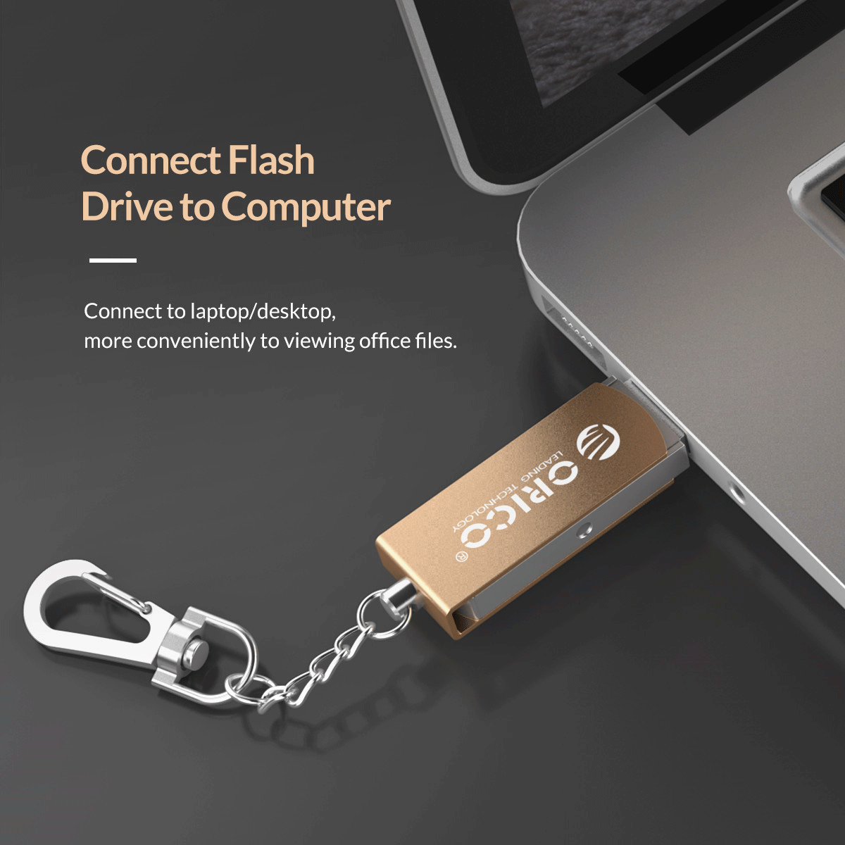  ORICO HS64 USB2.0 Zinc-Alloy Ring Flash Drive 64G 