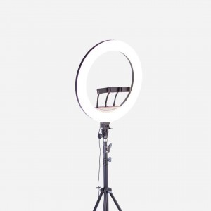 رینگ لایت 22 اینچ گرین لاین Green Lion GLR-22 LED Ring Light GNRNGLIT22