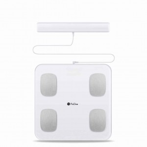 ترازو دیجیتال پرووان مدل BODY LAB